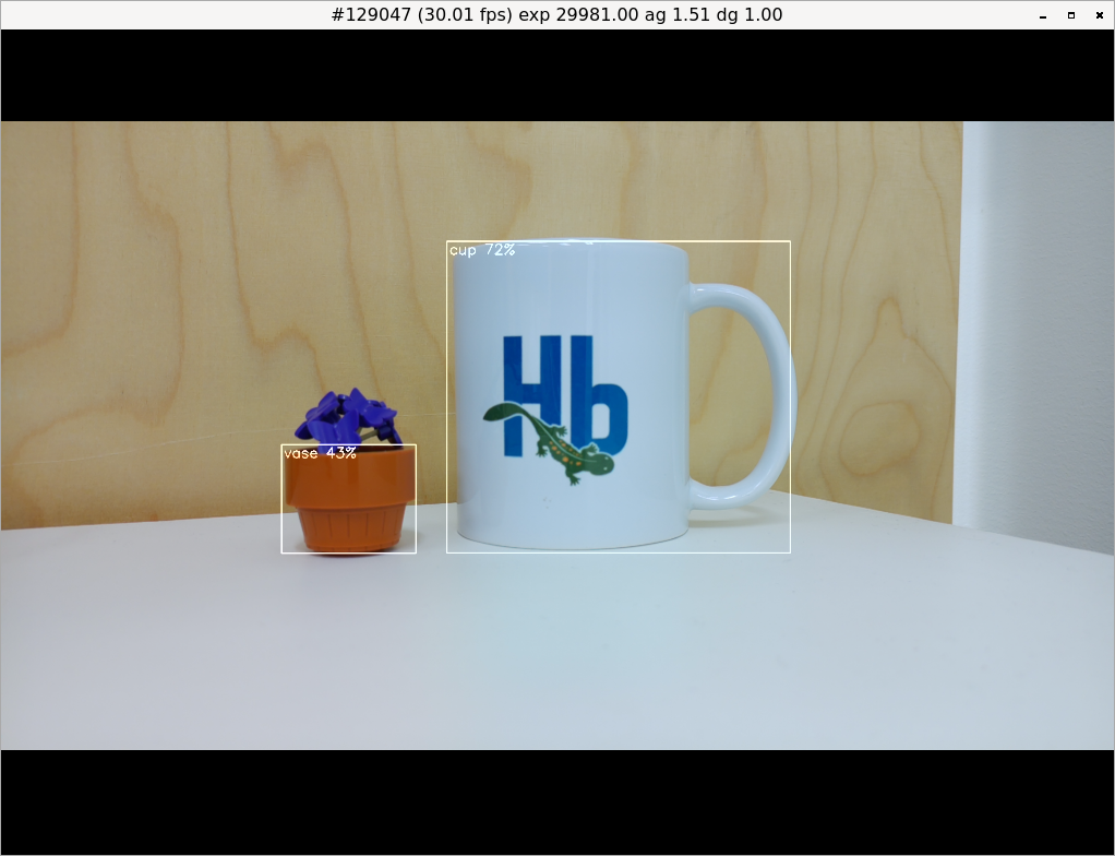 rpicam Hailo Detection